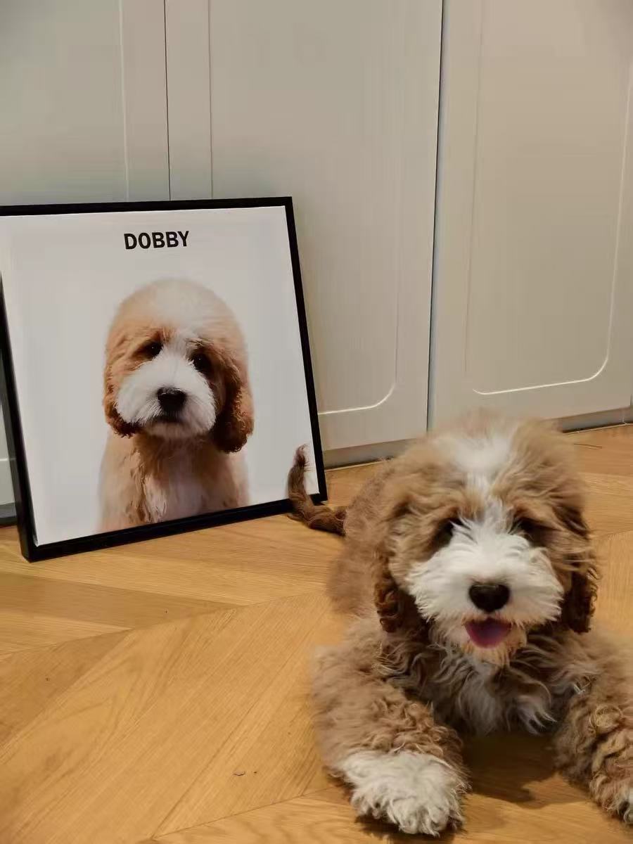 Custom Digital Pet Portrait – Modern Minimalist